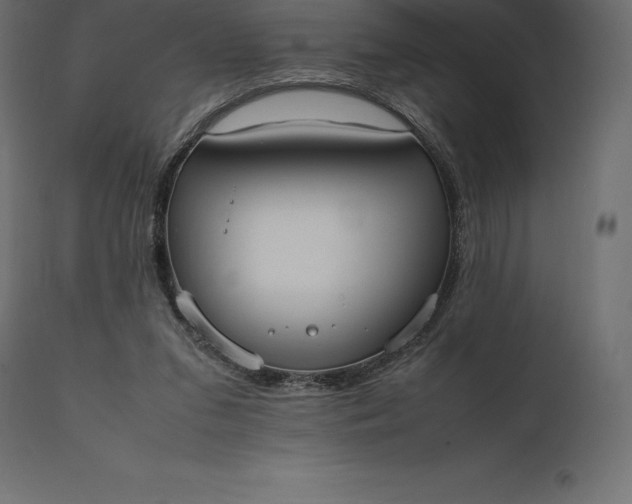 X0000111530207200907281410