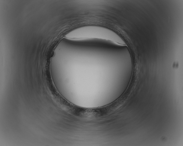 X0000111530209200907281410