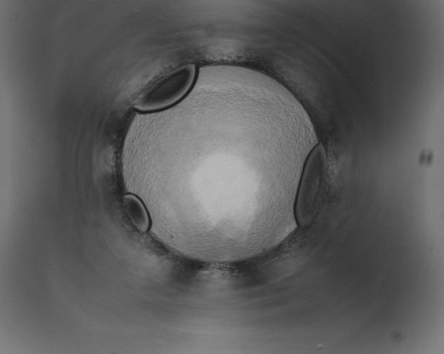 X0000111530211200907281410