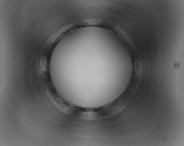 X0000111530212200907281410