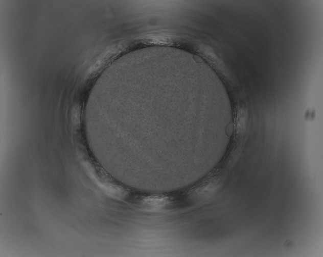 X0000111530213200907281410