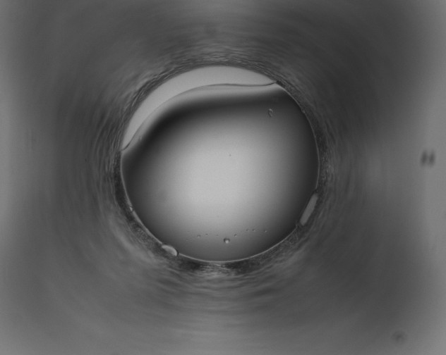 X0000111530215200907281410