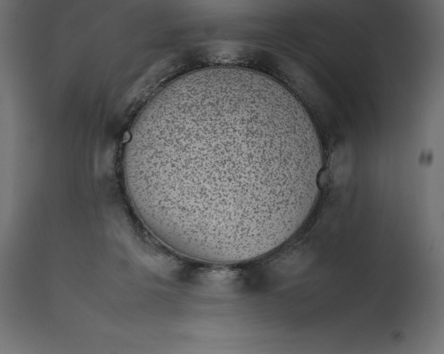 X0000111530217200907281410