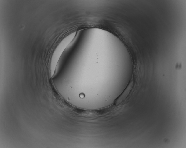 X0000111530221200907281410