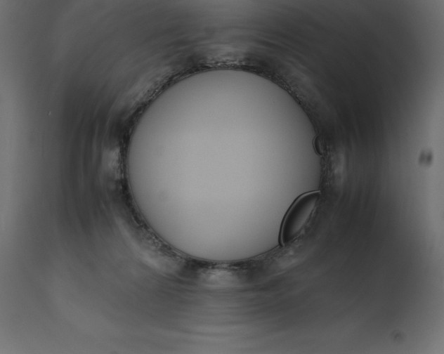 X0000111530224200907281410