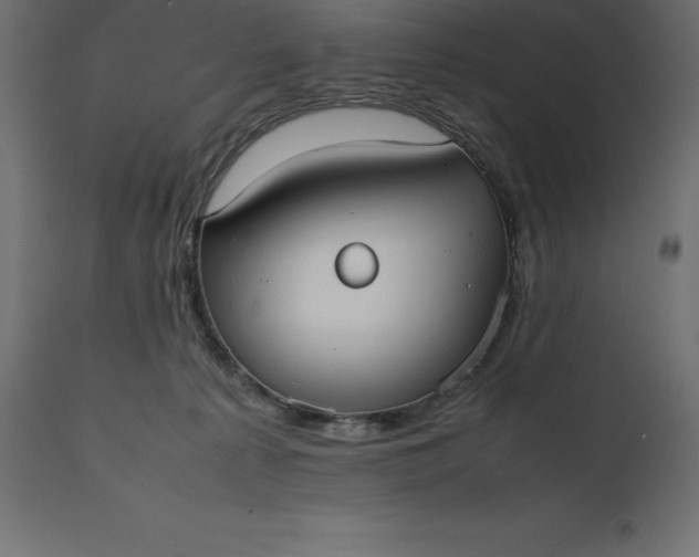 X0000111530225200907281410