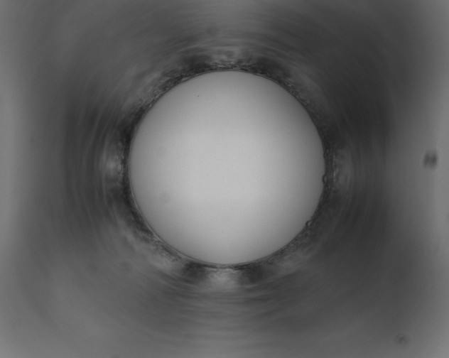 X0000111530226200907281410