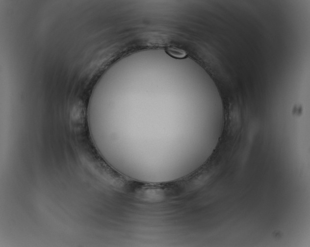 X0000111530228200907281410