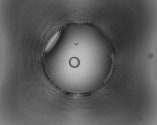 X0000111530229200907281410