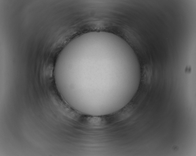 X0000111530230200907281410