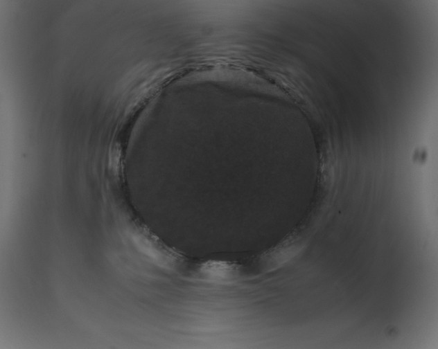 X0000111530231200907281410