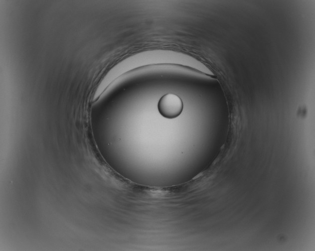 X0000111530233200907281410