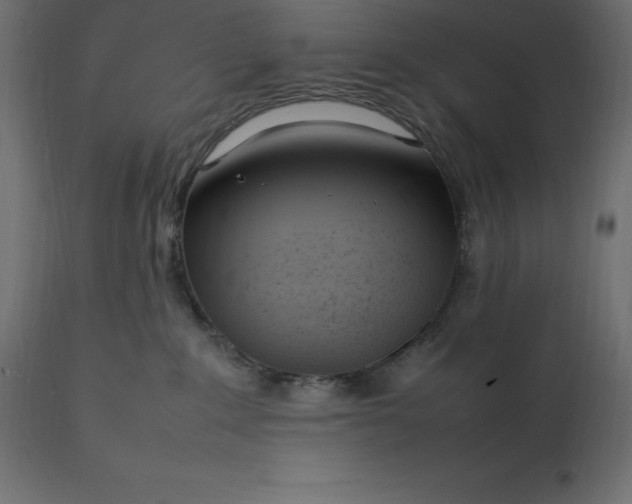 X0000111530235200907281410