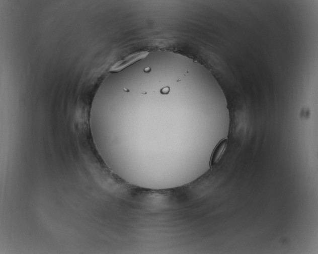 X0000111530236200907281410