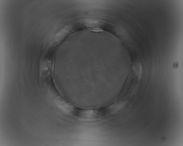 X0000111530237200907281410