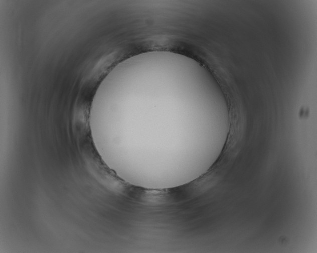 X0000111530240200907281410