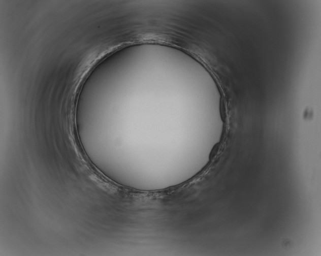 X0000111530241200907281409