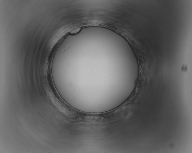 X0000111530242200907281409