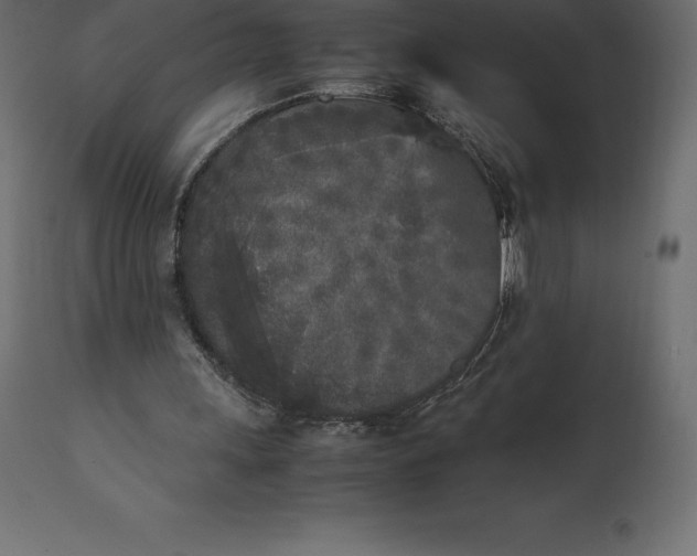 X0000111530243200907281409