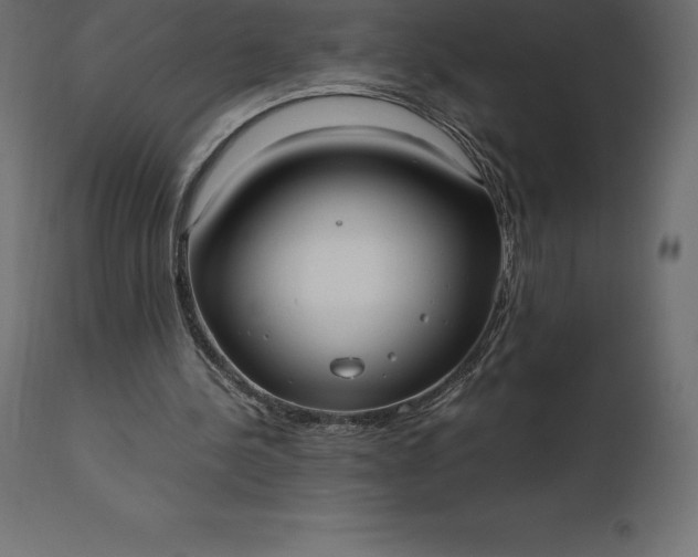 X0000111530244200907281409