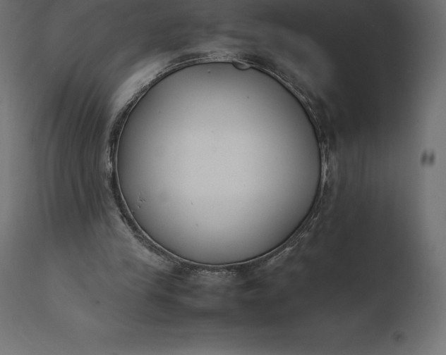 X0000111530245200907281409