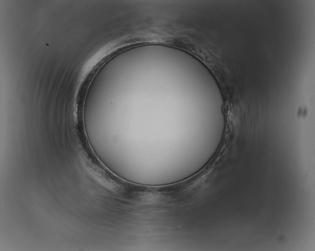 X0000111530246200907281409