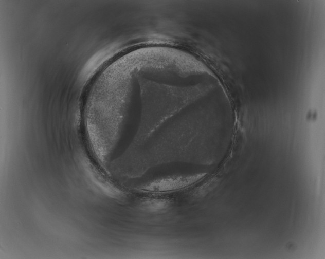 X0000111530247200907281409