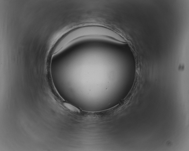 X0000111530248200907281409