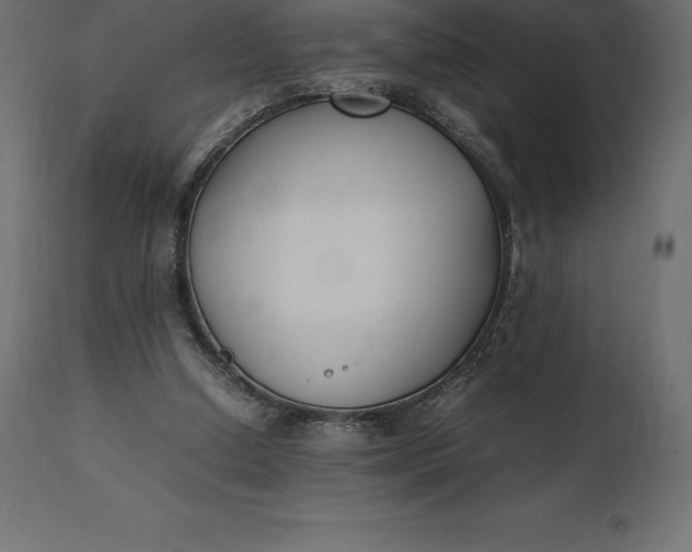 X0000111530250200907281409