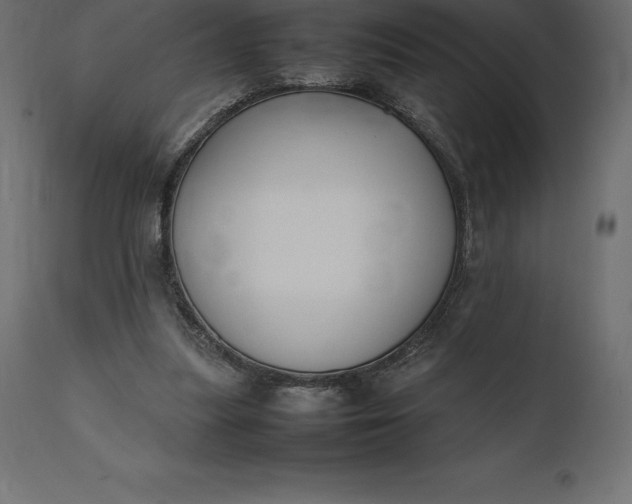 X0000111530251200907281409