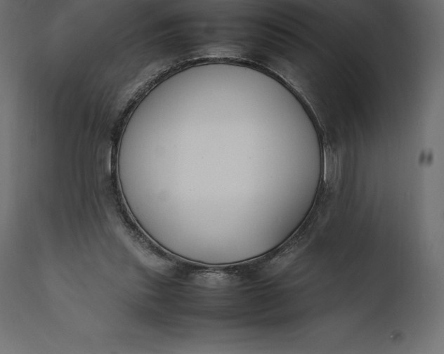 X0000111530253200907281409