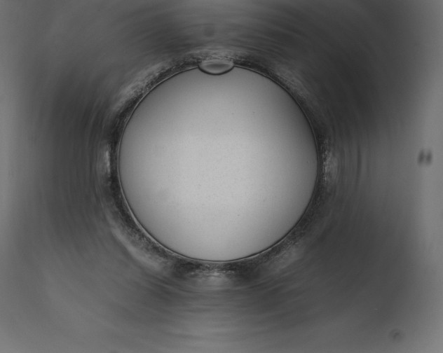 X0000111530254200907281409