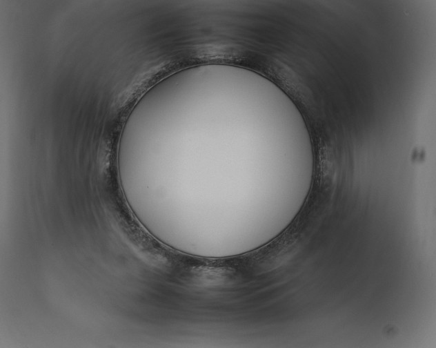 X0000111530255200907281409