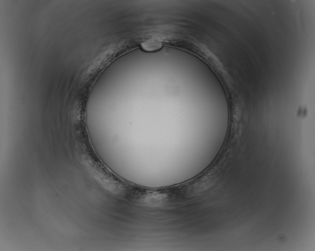 X0000111530257200907281409