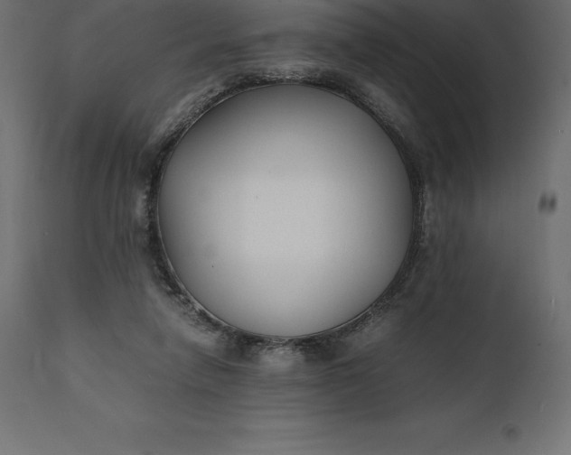 X0000111530258200907281409