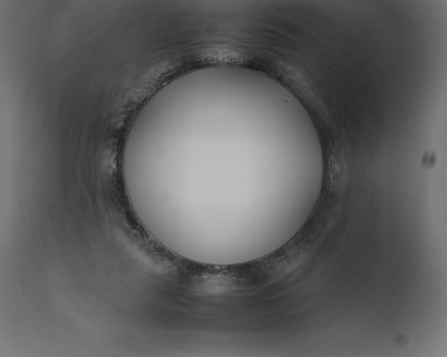 X0000111530259200907281409