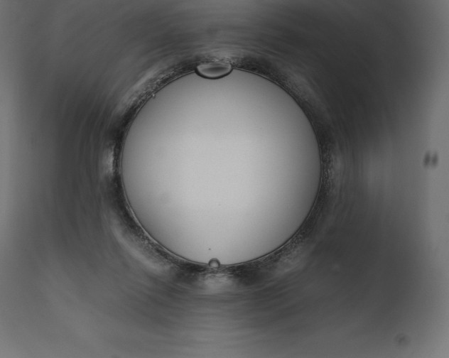 X0000111530262200907281409