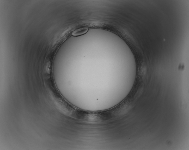 X0000111530264200907281409