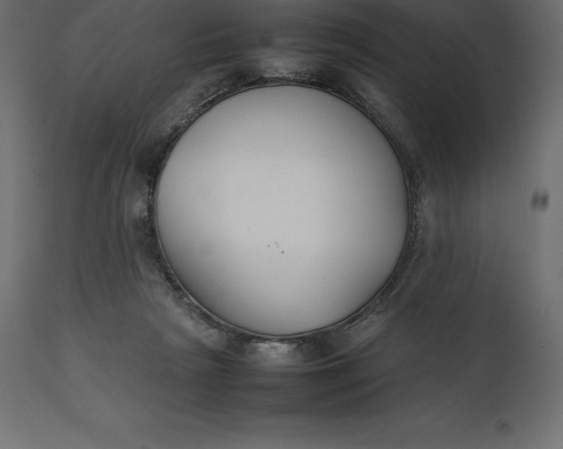 X0000111530265200907281409