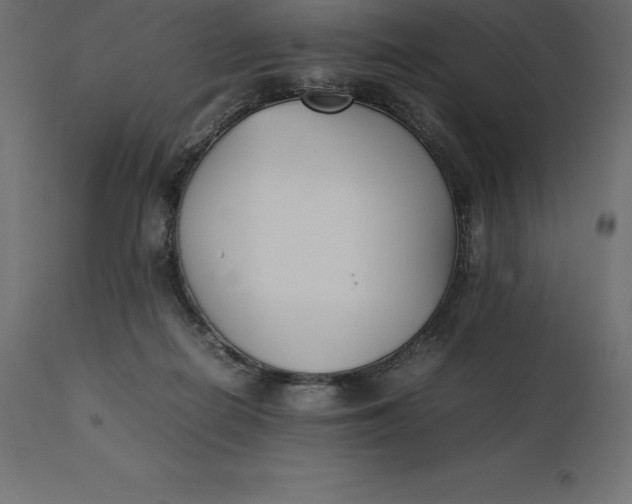 X0000111530266200907281409