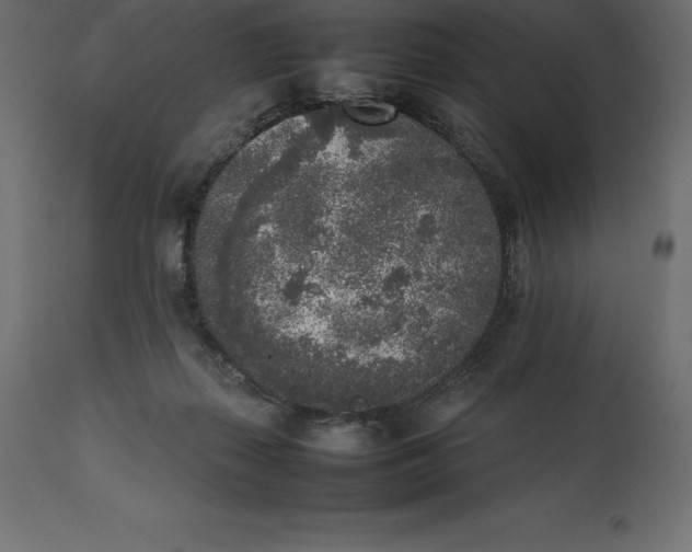 X0000111530267200907281409