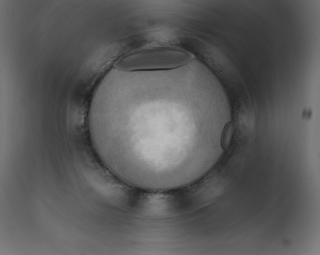 X0000111530268200907281409