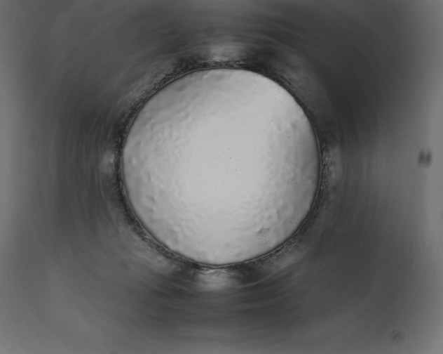 X0000111530269200907281409