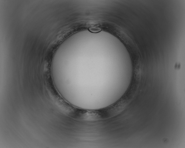 X0000111530270200907281409