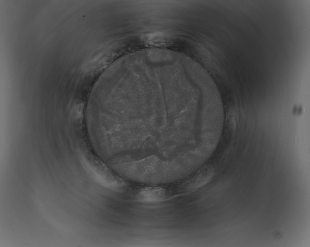 X0000111530271200907281409