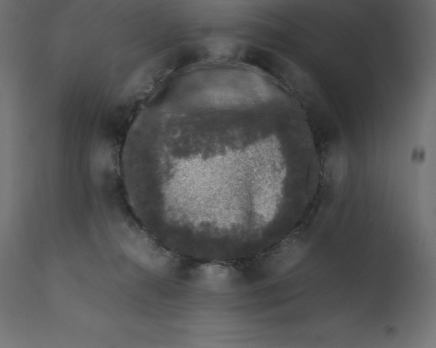 X0000111530272200907281409