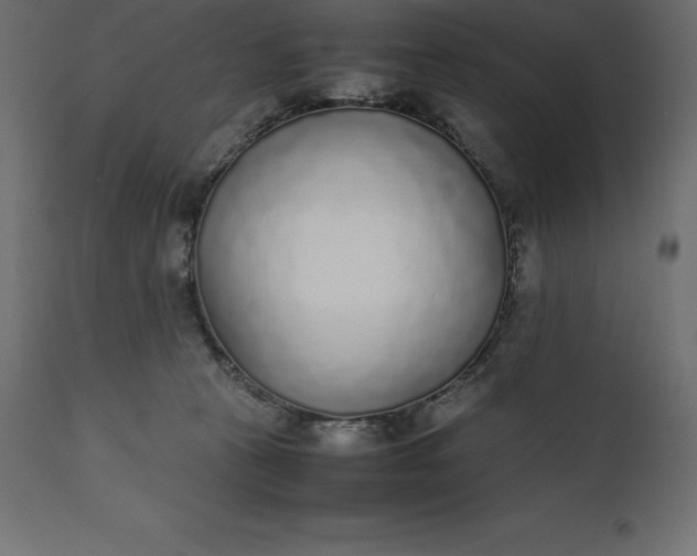 X0000111530273200907281409