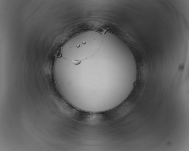 X0000111530274200907281409