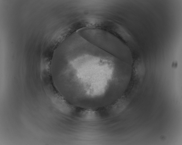 X0000111530276200907281409