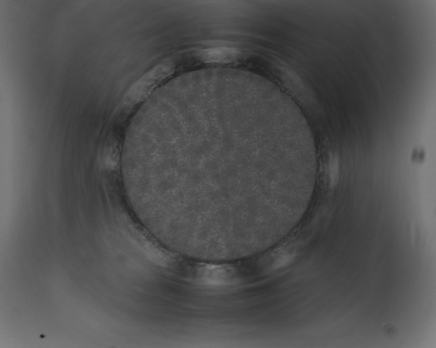 X0000111530277200907281409